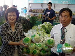 臺(tái)灣云林縣長(zhǎng)被檢方拘提 疑似涉及收賄500萬(wàn)元